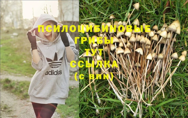 MDMA Балабаново