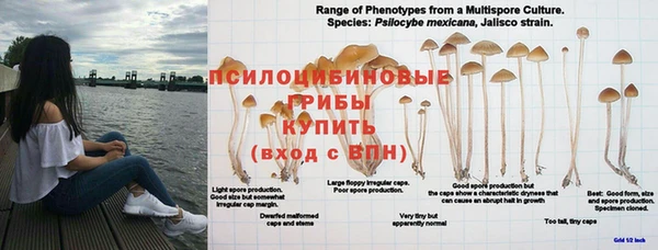 MDMA Балабаново