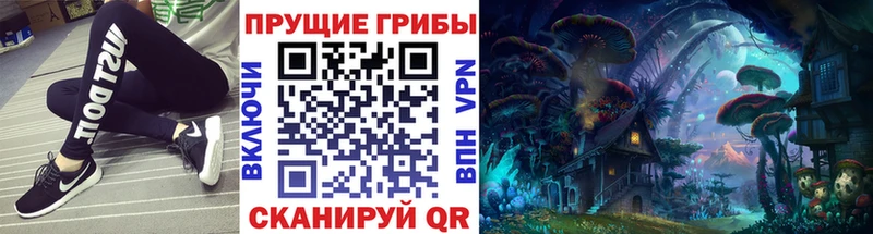 ссылка на мегу ссылки  Певек  Псилоцибиновые грибы Cubensis 