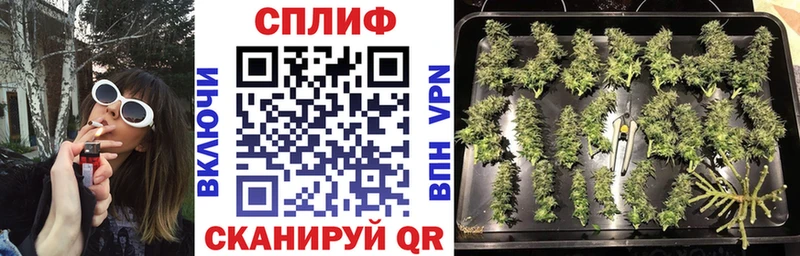 Каннабис OG Kush  Певек 